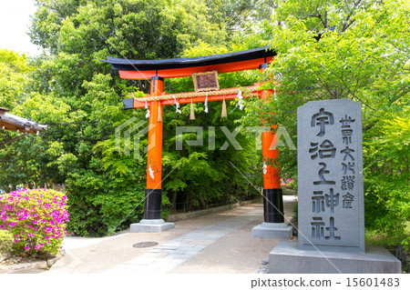 宇治神社 15601483