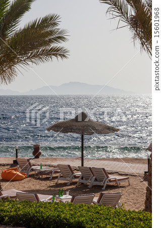 Beach at the luxury hotel, Sharm el Sheikh, Egypt 15601968