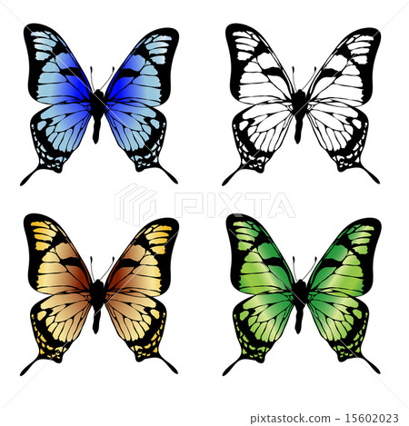 Butterfly Butterfly 15602023