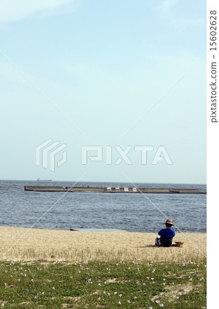 初夏的海灘 15602628