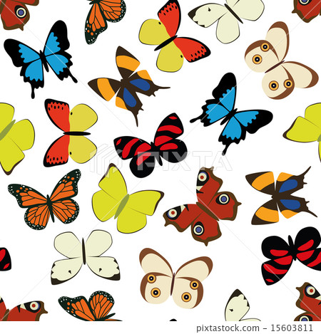butterfly seamless pattern - Stock Illustration [15603811] - PIXTA