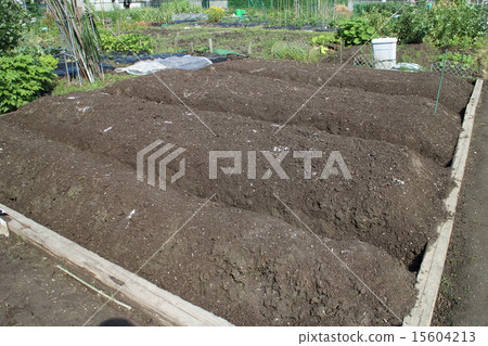 Ridges of home garden Ridges of home garden 15604213