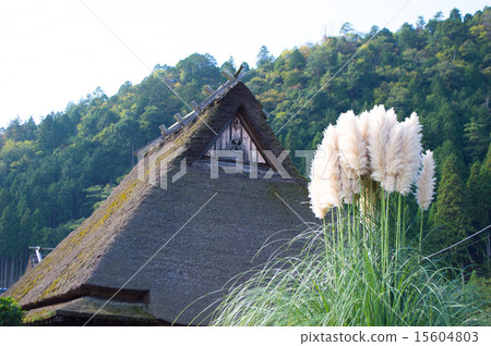 The roof with a roof and Shiori Shiori 15604803