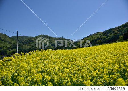 Scenery of Chikuhoku village in Nagano prefecture 15604819