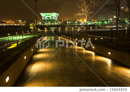 Night view of the Osanbashi wharf building from the nose park of the statue Night view of the Osanbashi wharf building from the nose park of the statue 15604859