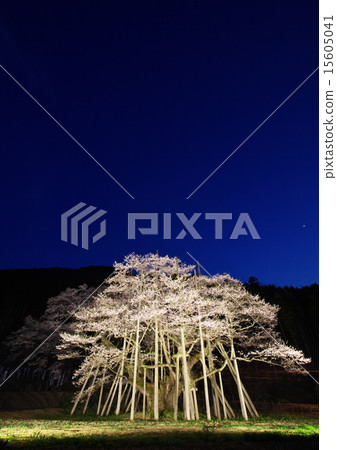 Neno valley Mombakura 15605041