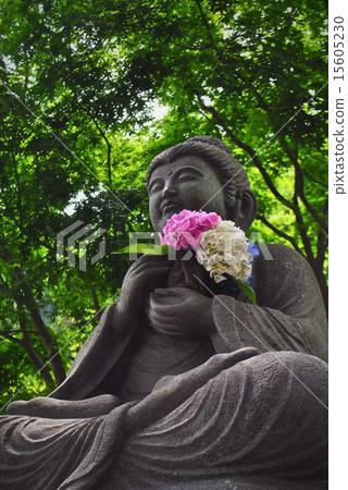 與八仙花屬的菩薩雕象 與八仙花屬的菩薩雕象 15605230