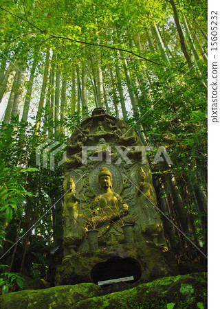 和平的綠色 和平的綠色 15605232