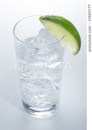 杜松子酒和補品 15605577