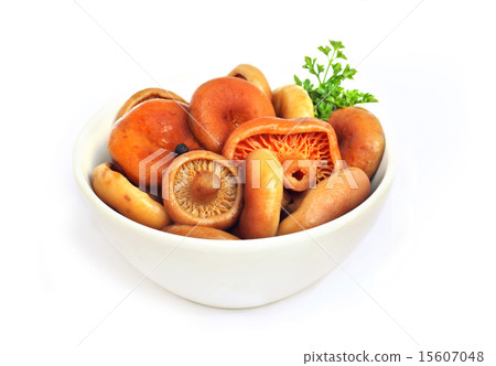 Marinated saffron milk cap mushrooms Marinated saffron milk cap mushrooms 15607048