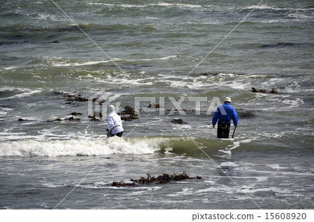 Seaweed fishing 15608920