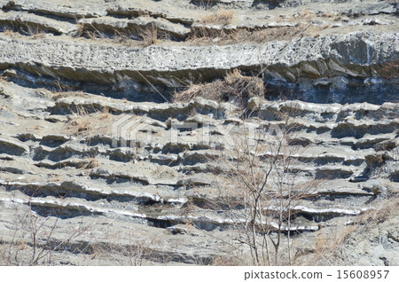 Exposed strata (Akabira River, left bank / Saigama prefecture Chichibu-gun Koichino Town) 15608957