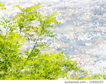 Fresh green and river 15609207