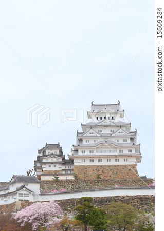Japanese world heritage Himeji Castle and cherry blossoms in full bloom Japanese world heritage Himeji Castle and cherry blossoms in full bloom 15609284