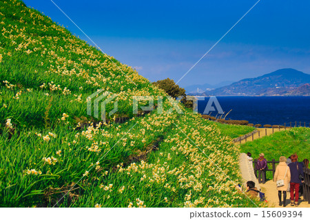 Minamikari Narcissus Festival 15609394