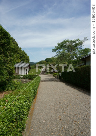Road leading to Shingin Emperor's Mausoleum 15609408