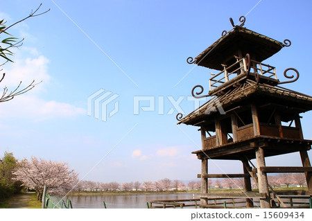 卡拉科·關鍵遺體 15609434