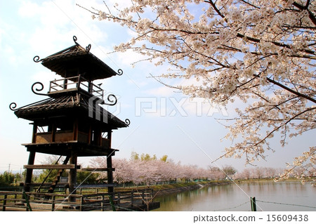 Karako · Key remains 15609438