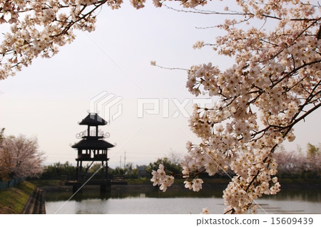 Karako · Key remains 15609439