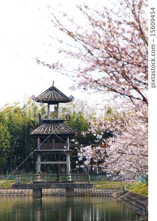 卡拉科·關鍵遺體 卡拉科·關鍵遺體 15609454