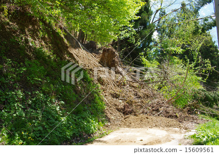 Mudslide 15609561