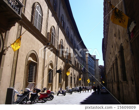 The streets of Siena 15609809