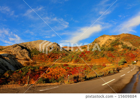 萬代Azuma天際線 萬代Azuma天際線 15609884