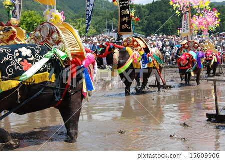 UNESCO Intangible Cultural Heritage Mibu's Flower Rice Planting UNESCO Intangible Cultural Heritage Mibu's Flower Rice Planting 15609906