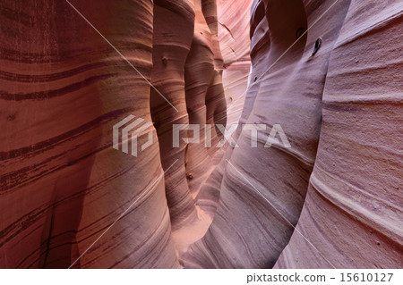 Zebra slot canyon 15610127