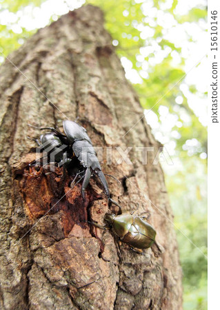 看到牙刷 看到牙刷 15610146