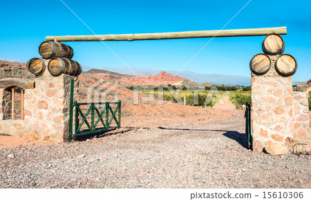 Vineyards in Cafayate, Argentina 15610306