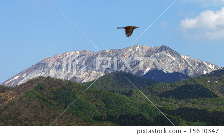 Hokusetsu Fuji Daisen south wall and birds 15610347