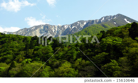 Hokusetsu Fuji Oyama early summer north wall Hokusetsu Fuji Oyama early summer north wall 15610646