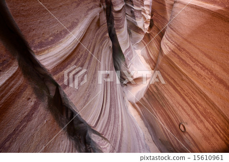 Zebra slot canyon 15610961