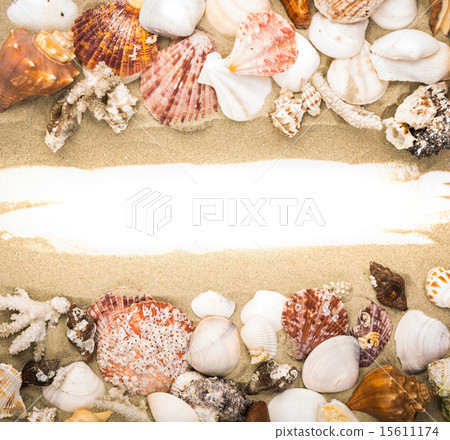 Sea shells on beach sand . Summer background 15611174