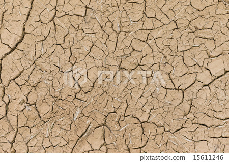  Wall with Japanese straw 15611246
