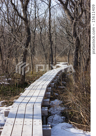 Lake Utonai, tree ways Lake Utonai, tree ways 15611409