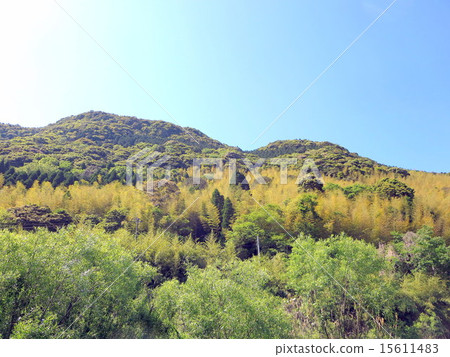 Mt. 15611483
