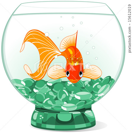 Goldfish in the aquarium 15612019