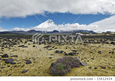 Volcanic landscape - view on Kamen Volcano 15612434