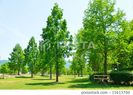 Shiga Agricultural Park Blume Hill Shiga Agricultural Park Blume Hill 15613700
