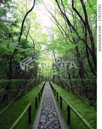 The path of the temple The path of the temple 15614561