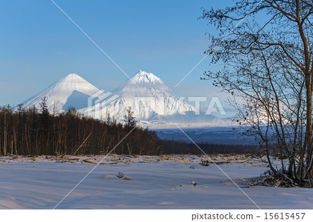 Klyuchevskoy Volcano and Kamen Volcano. Kamchatka 15615457