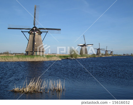 風車小組小孩堤防荷蘭 15616032