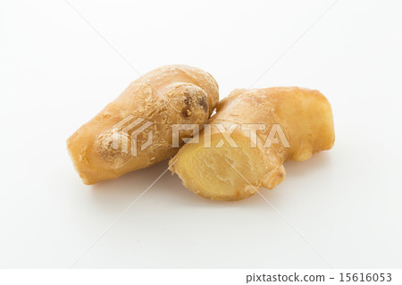 Ginger (ginger) 15616053