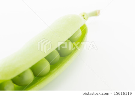 Pepper blossom Pepper blossom 15616119