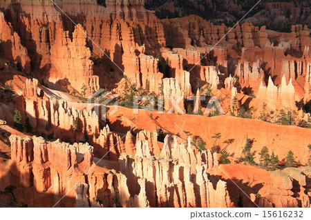 Bryce Canyon National Park Bryce Canyon National Park 15616232