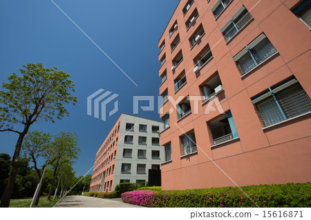 Makuhari的高層公寓街 15616871