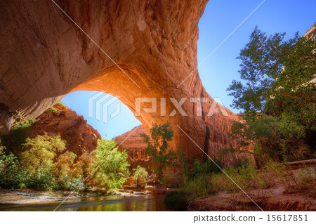 Jacob Hamblin Arch 15617851