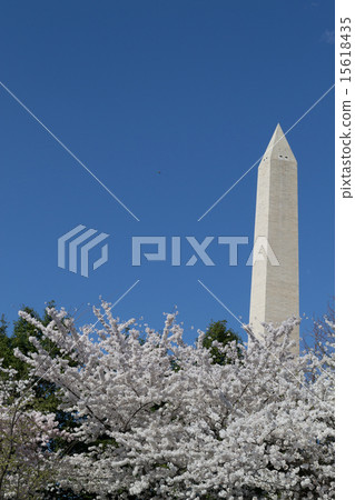Festival and Washington Memorial 15618435